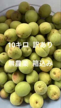 激安！今だけ！和歌山産 南高梅 10kg 訳あり品 傷や斑点有り - メルカリ