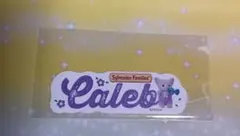 シルバニアファミリー　ネームシール　フェネックの赤ちゃん　カレブ　新品