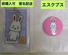 miniteen セブチ エスクプス ラッキードロー アクキー 缶バッチ