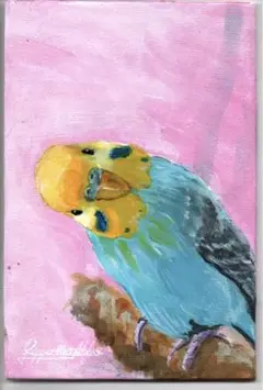 セキセイインコのアクリル水彩画