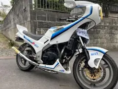 VTZ250 羽テール　G-style VTZ250 羽テール ハネテール G-STYLE - メルカリ