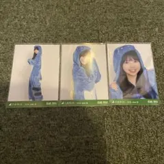 乃木坂46 生写真 福井県ver.コーデ 恐竜 長嶋凛桜 3種コンプ - メルカリ