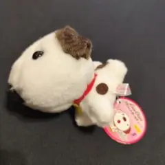 2026年最新】リトルチャロ ぬいぐるみの人気アイテム - メルカリ