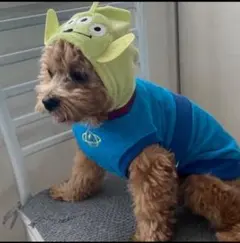 リトルグリーンメン犬服