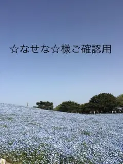 ☆なせな☆様ご確認用 - メルカリ