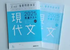 現代文 2025 共通テスト 問題集　ベネッセ