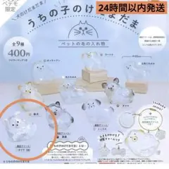 うちの子のけだまだま チワワ 白(限定アソート) ガチャ 犬のけだまだま