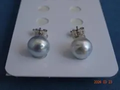 特価品！！！あこや真珠ナチュラルグレー8.7㎜　SV925ピアス