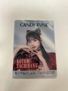 ❤︎様 リクエスト 2点 まとめ商品