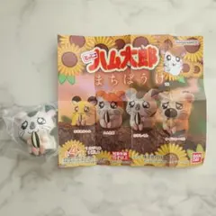 とっとこハム太郎 まちぼうけ こうしくん