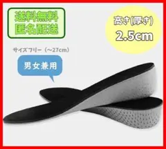 シークレットインソール 2.5cm 中敷き 衝撃吸収 低反発 上げ底 厚底y0gのサムネイル