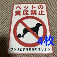 Item thumbnail for item a89b2421-2aac-44a0-9882-400139434081