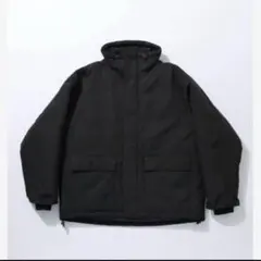 Item thumbnail for item 58e6107f-b61e-4be9-a795-b0769a77ccfe