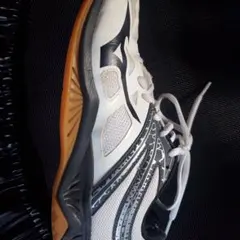 Mizuno バレーボールシューズ ホワイト/ブラック