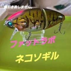 ファットラボ ネコソギル LL 銀ブナ 新品未使用 ギンブナ ファットラボ ネコソギルLL 銀ブナ - メルカリ