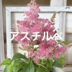 のんこ様 リクエスト 2点 まとめ商品