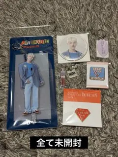 SEVENTEEN ホシ アクスタ キーリング