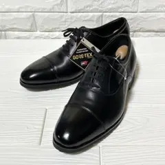 madras Walk GORE-TEX ストレートチップ 26.5 ビジネスのサムネイル