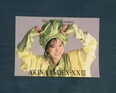 超希少】中森明菜 「AKINA LAND 1984」 こどものくに 生写真 - メルカリ