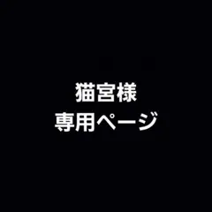 専用ページ