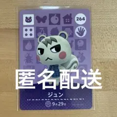 どうぶつの森　あつ森　amiibo第３弾カード　ジュン