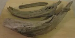天然流木　乾燥済み ３点セット