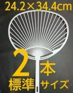 うちわの骨 2本