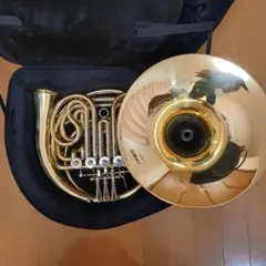 2025年最新】フルダブルホルンの人気アイテム - メルカリ