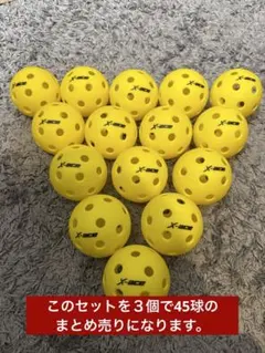 新品未使用品　激安　ピックルボール X-ACE 45個セット 屋内用　26穴