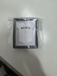 NPB ユニフォームフレームマグネット～セントラル・リーグ～のサムネイル