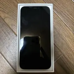 Apple iPhone 12 本体