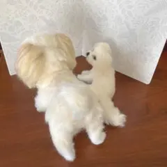 羊毛フェルト　シーズー　マルチーズ　フレンドセット 羊毛フェルト シーズーちゃん - メルカリ
