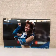 ファイターズガール　ハイライトフォト　新井田愛理　2025/09/14