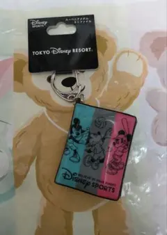 ディズニー スーベニアメダル ケース ストラップ キーホルダー ミニファイル