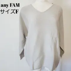 any FAM エニィファム Vネック 長袖ニット セーター ライトベージュ F