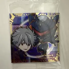 エヴァンゲリオ　シールウエハース　EVA3-30　カヲル＆Mark.06