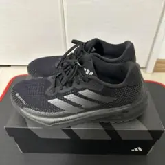 Item thumbnail for item 4fbd36a2-3dda-49cb-805e-f66641488378