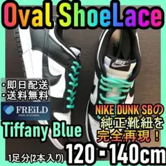 オーバルシューレース！ティファニーブルー！専用袋付エアジョーダンダンクSB01のサムネイル
