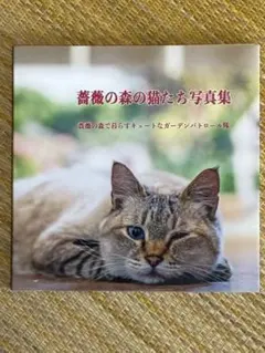 ドリプレ「薔薇の森の猫たち写真集」1,200円