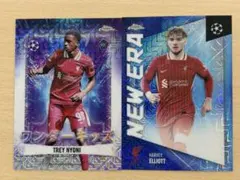 ハーヴィーエリオット トレイナイオニ　カードセット　おまけ付き