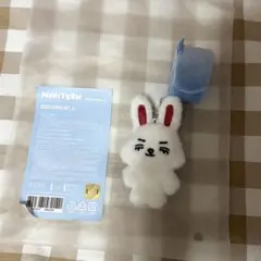 miniteen エスクプス チェリ デコバンド
