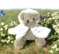 【新品未使用】Tullysタリーズコーヒー ヘドウィグのマントを纏ったベアフル¨̮⃝