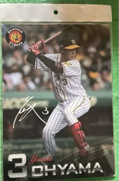 Item thumbnail for item 4ab6e636-8fad-49d3-b500-92d5220dc245