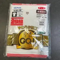 GUNZE 半袖U首 Tシャツ 2枚組 Mサイズ