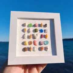 【パネルアート】微小貝 シーグラス（No.502)