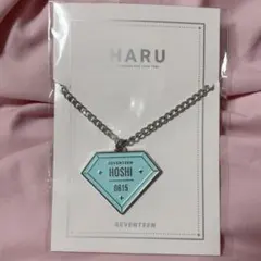 SEVENTEEN WOOZI キーホルダー HARU 新品 】 SEVENTEEN WOOZI HARUコン キーホルダー ウジ - メルカリ