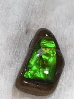 アンモライト ビーズ・アクセサリー