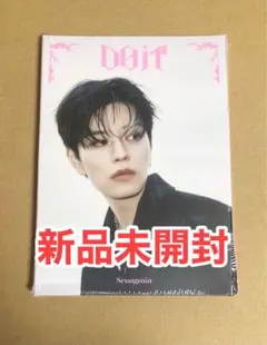 【新品未開封】 スンミン StrayKids DO IT Accordion