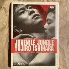 Item thumbnail for item 2737a50c-2d65-47f6-8cd8-ae14c0ab97ea