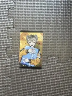 即購入可　ツイステ　ラギー　カード